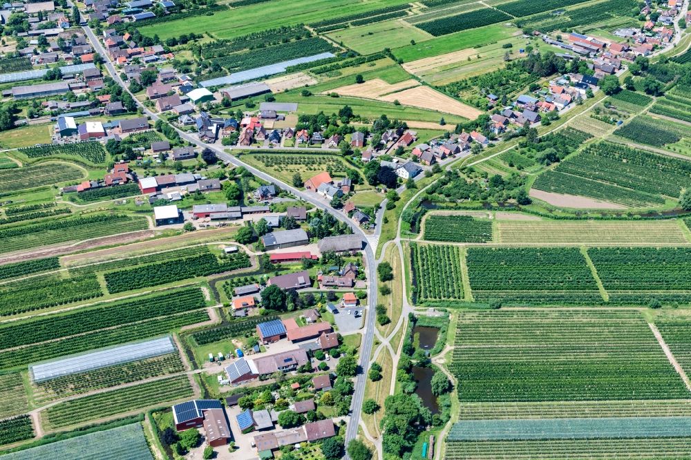 Luftaufnahme Neuenfelde - Dorfansicht im Obstanbaugebiet Altes Land in Neuenfelde im Bundesland Hamburg, Deutschland