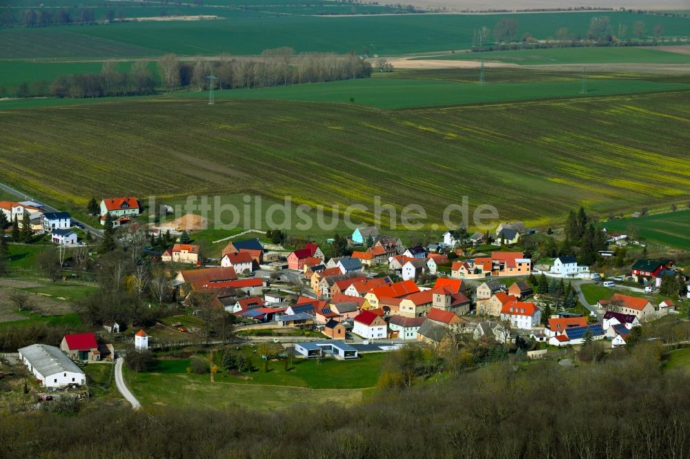 Rehehausen aus der Vogelperspektive: Dorfansicht von Rehehausen im Bundesland Sachsen-Anhalt, Deutschland