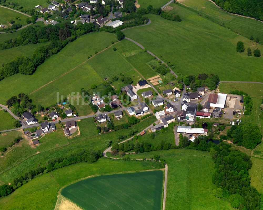 Luftaufnahme Seelbach bei Hamm (Sieg) - Dorfansicht von Seelbach bei Hamm (Sieg) im Bundesland Rheinland-Pfalz