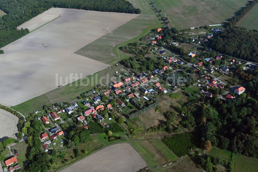 Dammereez aus der Vogelperspektive: Dorfkern in Dammereez im Bundesland Mecklenburg-Vorpommern, Deutschland