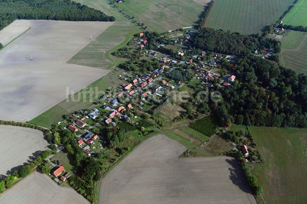 Luftbild Dammereez - Dorfkern in Dammereez im Bundesland Mecklenburg-Vorpommern, Deutschland
