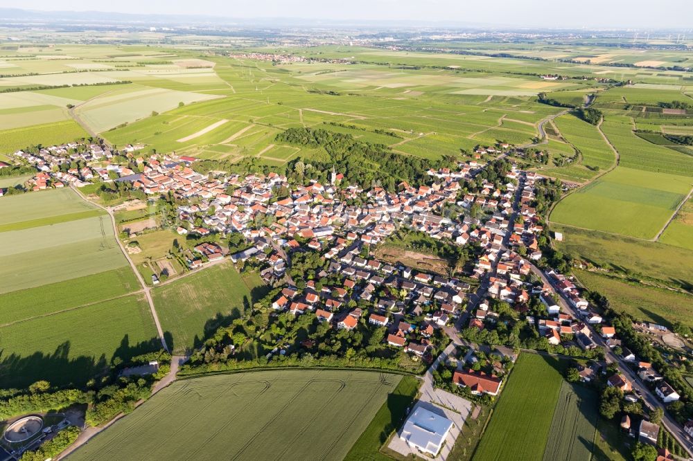 Dittelsheim-Heßloch von oben - Dorfkern in Dittelsheim-Heßloch im Bundesland Rheinland-Pfalz, Deutschland