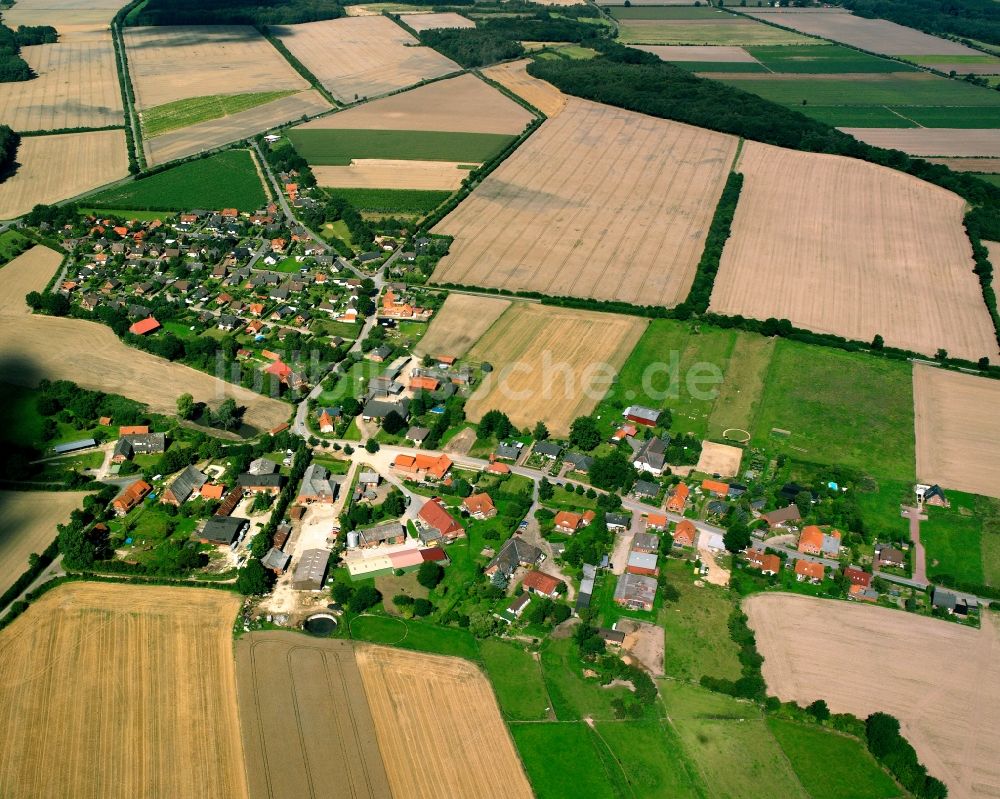 Luftaufnahme Basedow - Dorfkern am Feldrand in Basedow im Bundesland Schleswig-Holstein, Deutschland