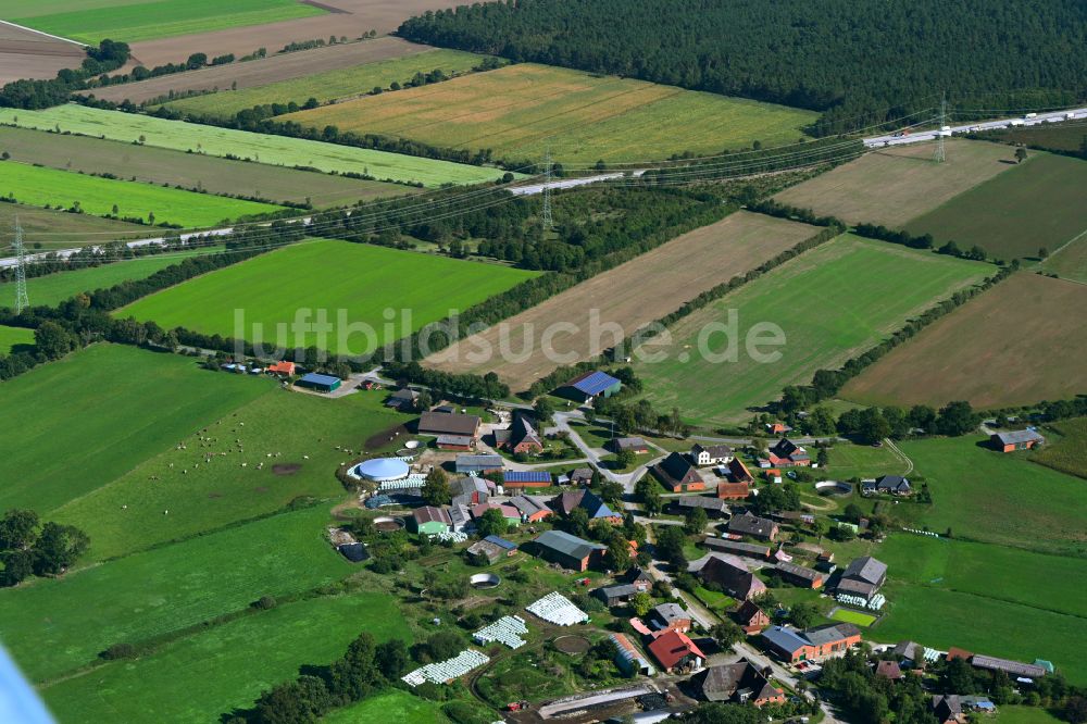Luftbild Besenthal - Dorfkern am Feldrand in Besenthal im Bundesland Schleswig-Holstein, Deutschland