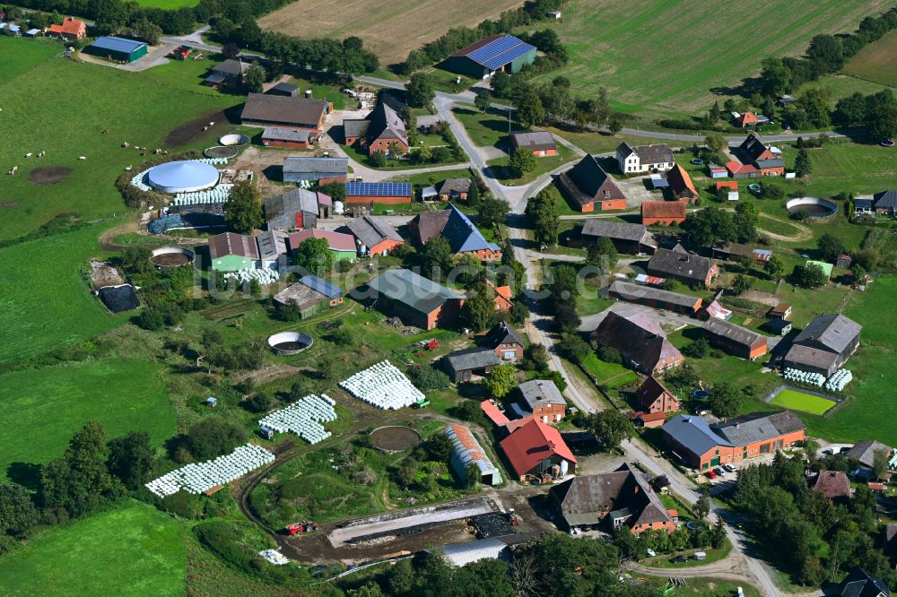 Luftaufnahme Besenthal - Dorfkern am Feldrand in Besenthal im Bundesland Schleswig-Holstein, Deutschland