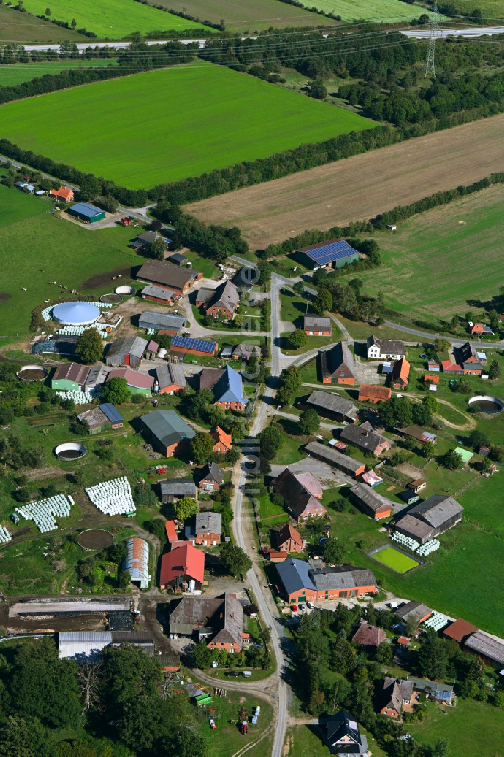 Besenthal von oben - Dorfkern am Feldrand in Besenthal im Bundesland Schleswig-Holstein, Deutschland
