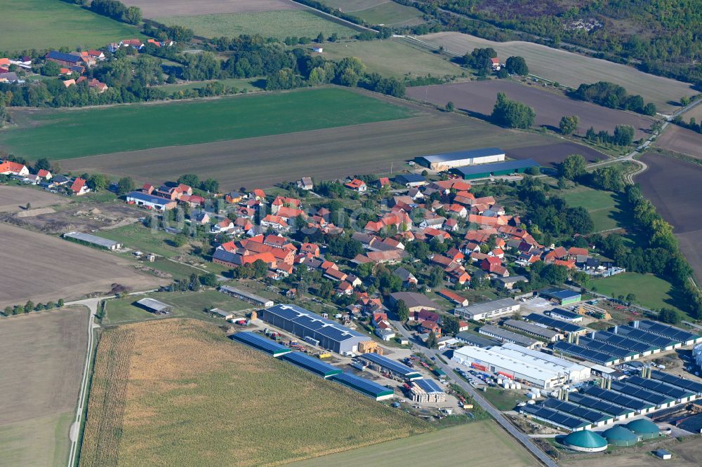 Bühne aus der Vogelperspektive: Dorfkern am Feldrand in Bühne im Bundesland Sachsen-Anhalt, Deutschland