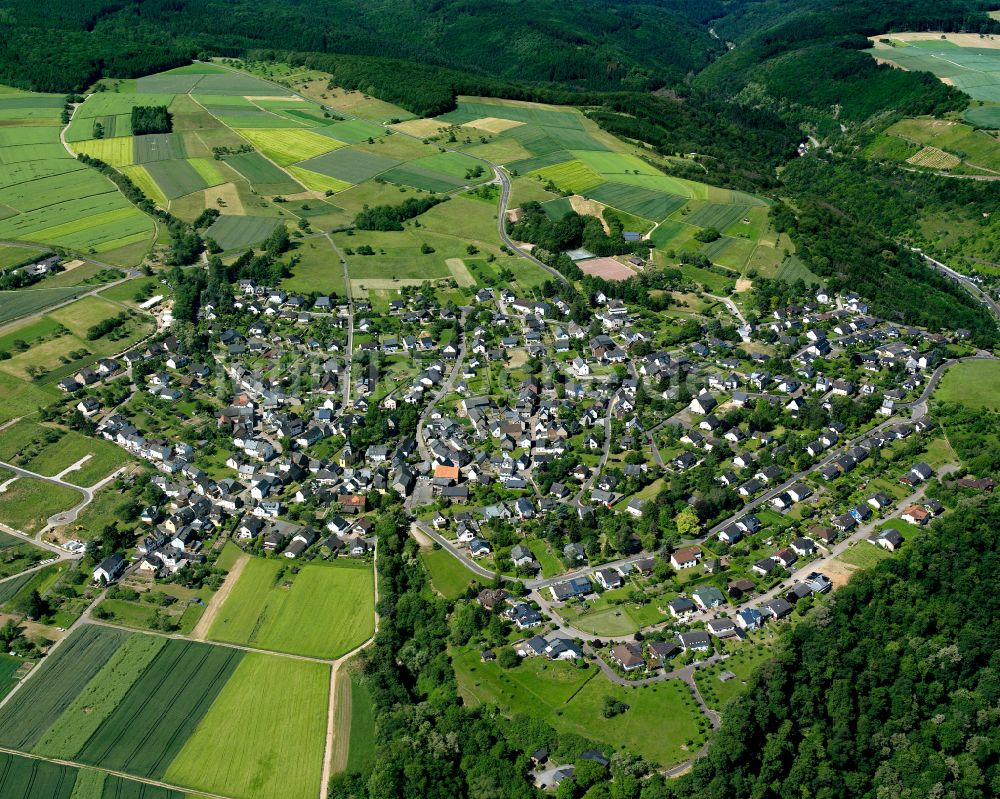 Biebernheim aus der Vogelperspektive: Dorfkern am Feldrand in Biebernheim im Bundesland Rheinland-Pfalz, Deutschland