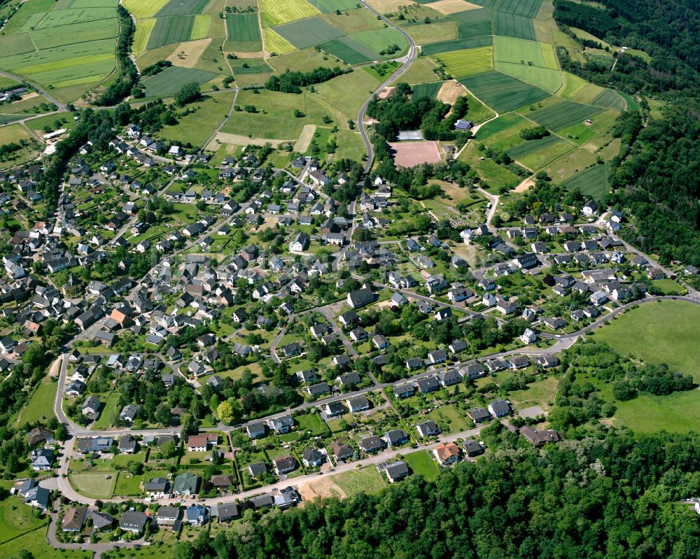 Luftaufnahme Biebernheim - Dorfkern am Feldrand in Biebernheim im Bundesland Rheinland-Pfalz, Deutschland