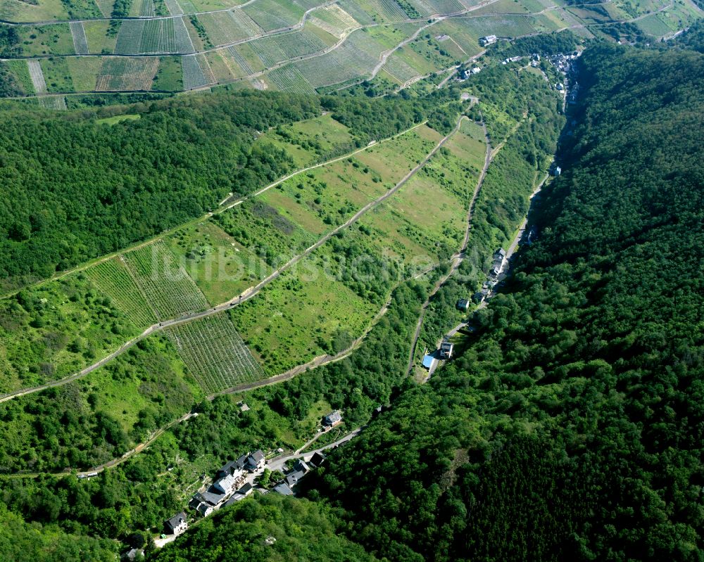 Luftbild Boppard - Dorfkern am Feldrand in Boppard im Bundesland Rheinland-Pfalz, Deutschland