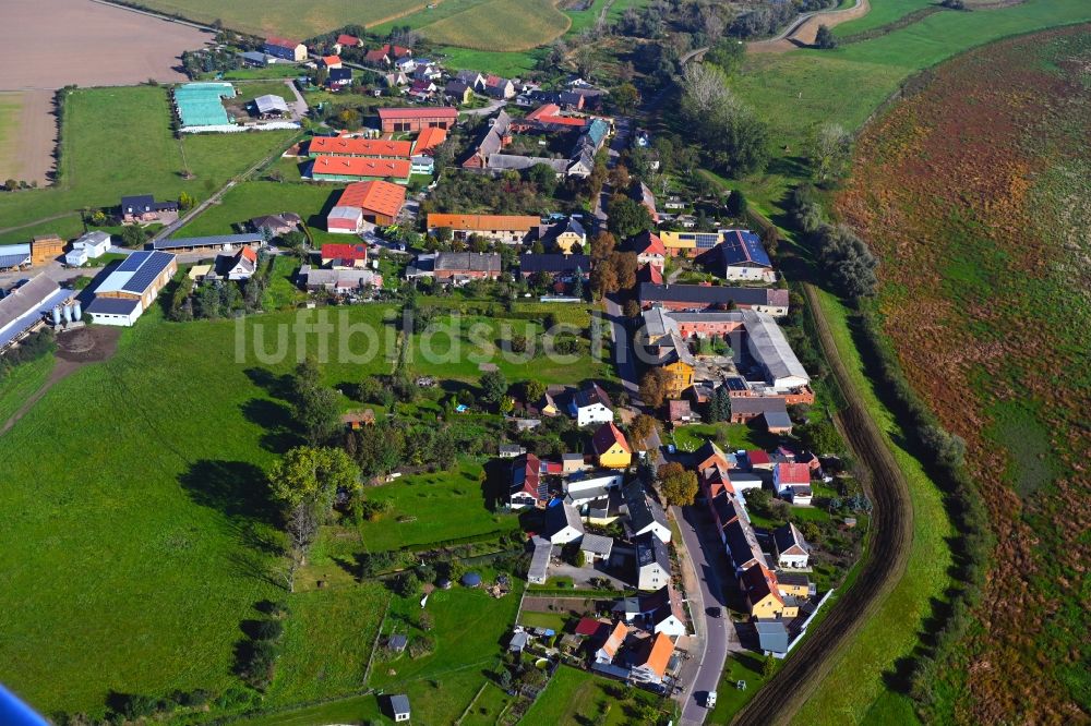 Luftbild Bösewig - Dorfkern am Feldrand in Bösewig im Bundesland Sachsen-Anhalt, Deutschland
