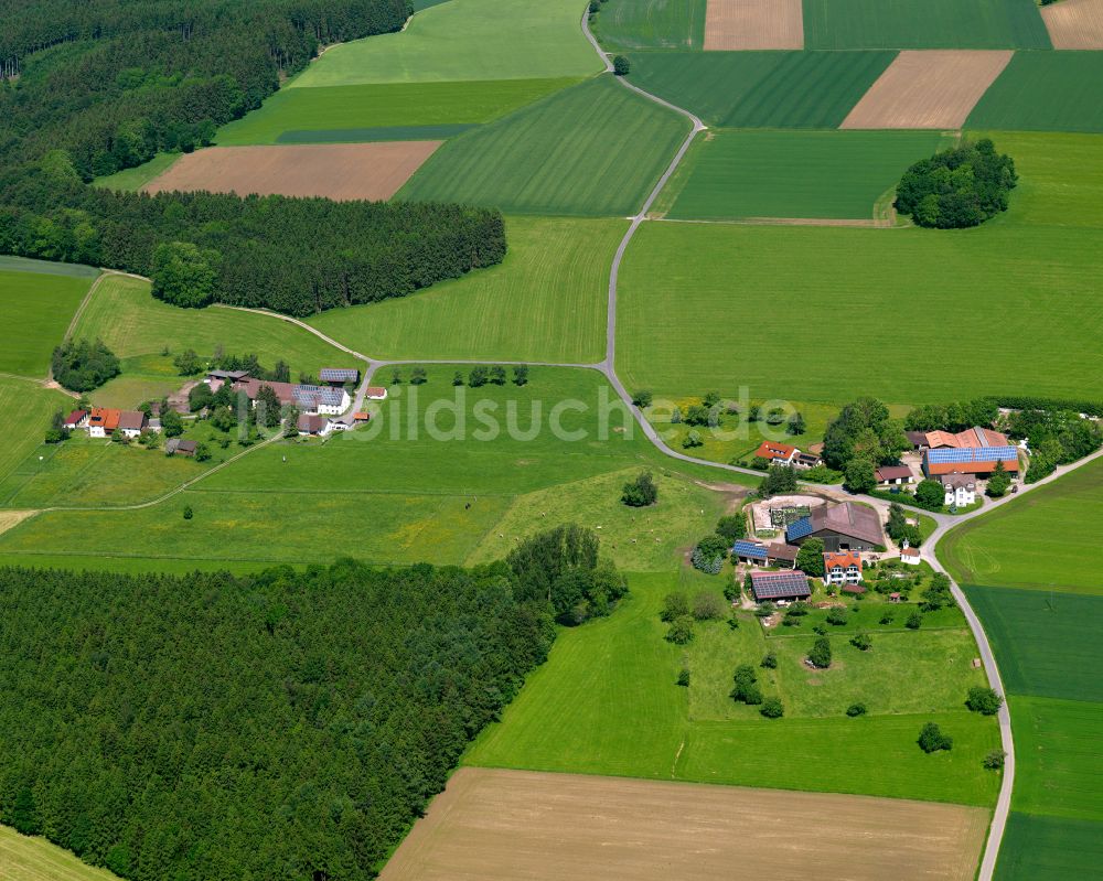 Luftbild Buschhorn - Dorfkern am Feldrand in Buschhorn im Bundesland Baden-Württemberg, Deutschland