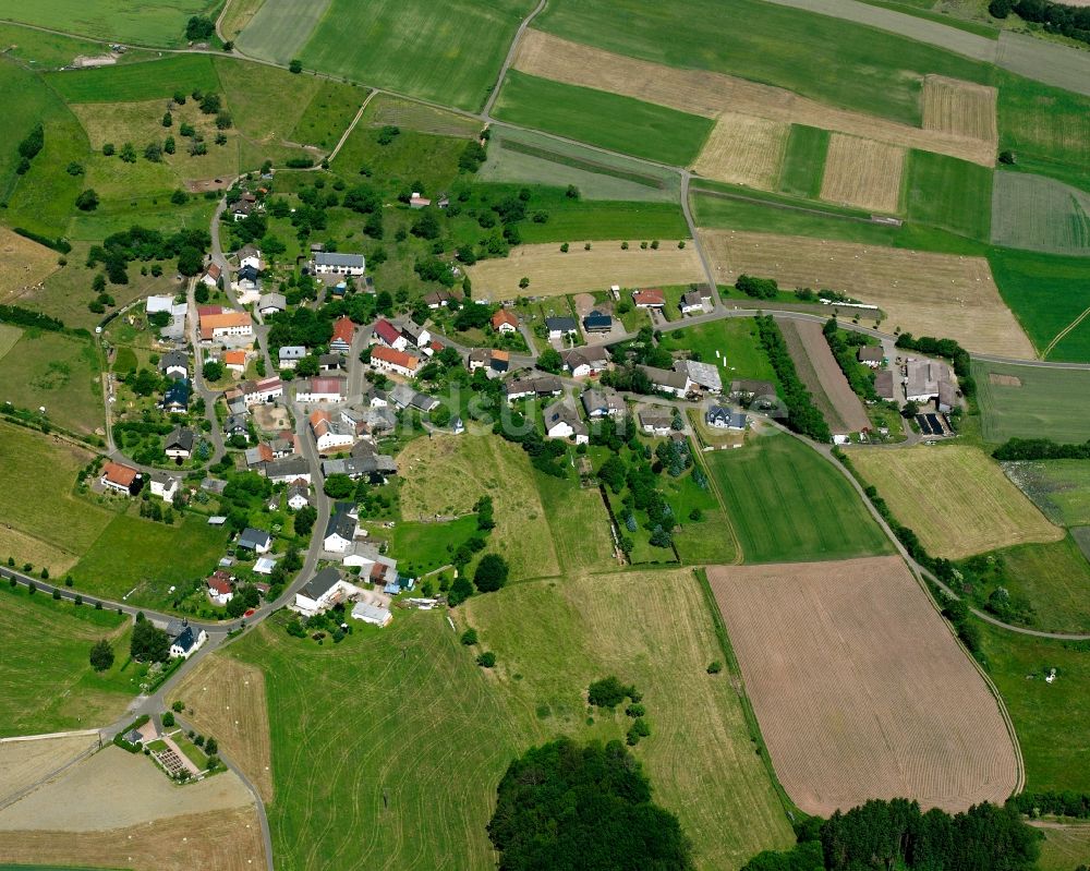 Luftbild Dambach - Dorfkern am Feldrand in Dambach im Bundesland Rheinland-Pfalz, Deutschland