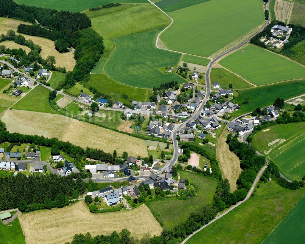 Luftbild Dillendorf - Dorfkern am Feldrand in Dillendorf im Bundesland Rheinland-Pfalz, Deutschland
