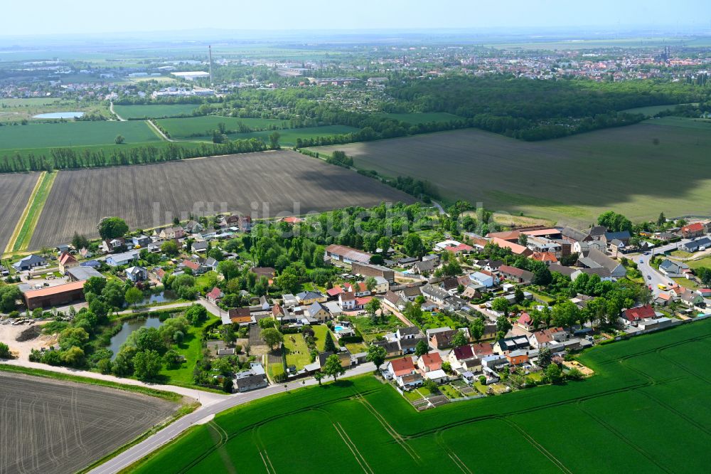 Drosa von oben - Dorfkern am Feldrand in Drosa im Bundesland Sachsen-Anhalt, Deutschland