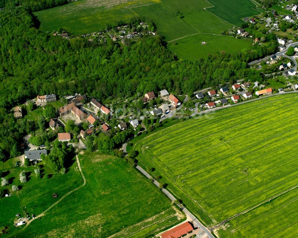 Ehrenberg von oben - Dorfkern am Feldrand in Ehrenberg im Bundesland Sachsen, Deutschland