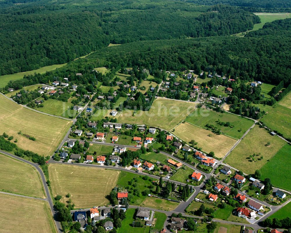 Einartshausen aus der Vogelperspektive: Dorfkern am Feldrand in Einartshausen im Bundesland Hessen, Deutschland
