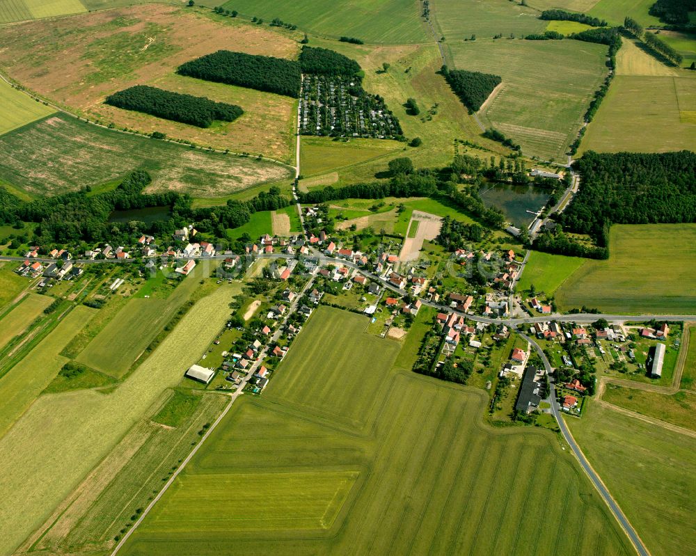 Luftbild Goltzscha - Dorfkern am Feldrand in Goltzscha im Bundesland Sachsen, Deutschland