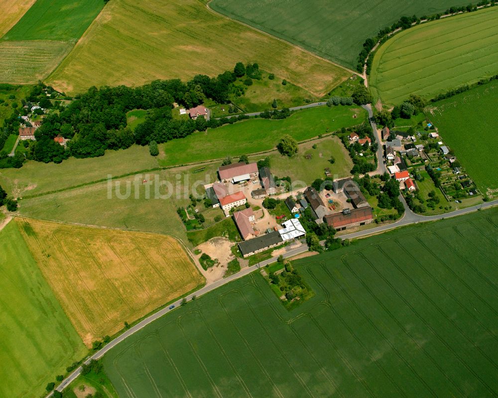 Luftaufnahme Gostewitz - Dorfkern am Feldrand in Gostewitz im Bundesland Sachsen, Deutschland