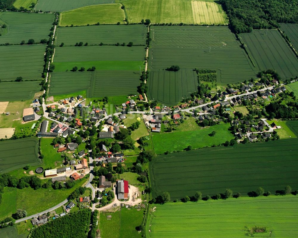 Luftbild Grinau - Dorfkern am Feldrand in Grinau im Bundesland Schleswig-Holstein, Deutschland
