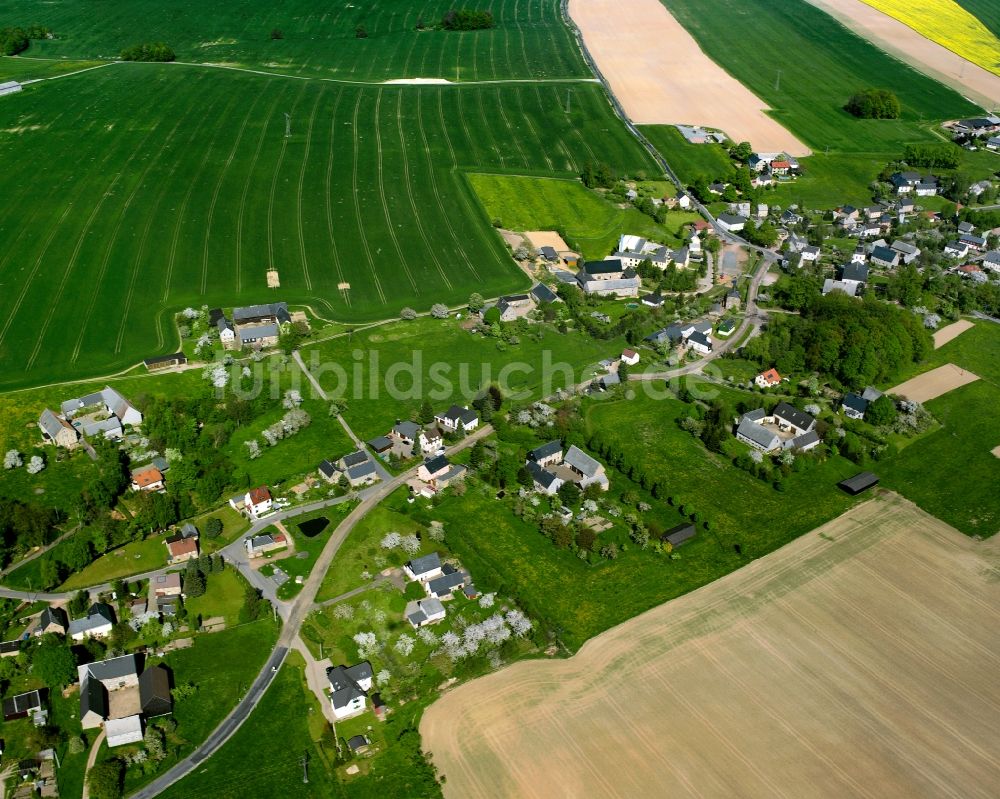 Grünlichtenberg von oben - Dorfkern am Feldrand in Grünlichtenberg im Bundesland Sachsen, Deutschland