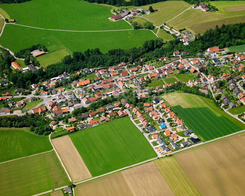 Haslach aus der Vogelperspektive: Dorfkern am Feldrand in Haslach im Bundesland Baden-Württemberg, Deutschland