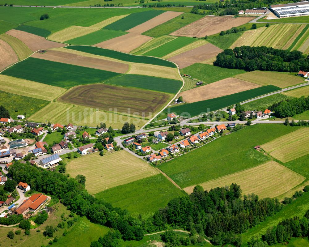 Hattenburg aus der Vogelperspektive: Dorfkern am Feldrand in Hattenburg im Bundesland Baden-Württemberg, Deutschland
