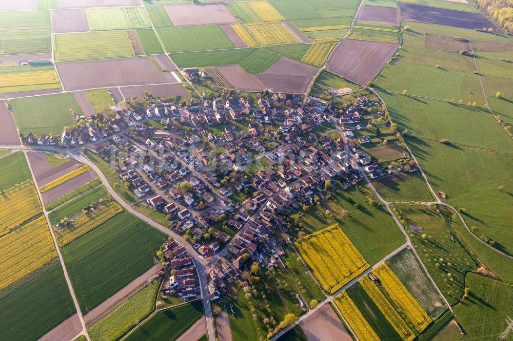 Luftaufnahme Höfen - Dorfkern am Feldrand in Höfen im Bundesland Baden-Württemberg, Deutschland