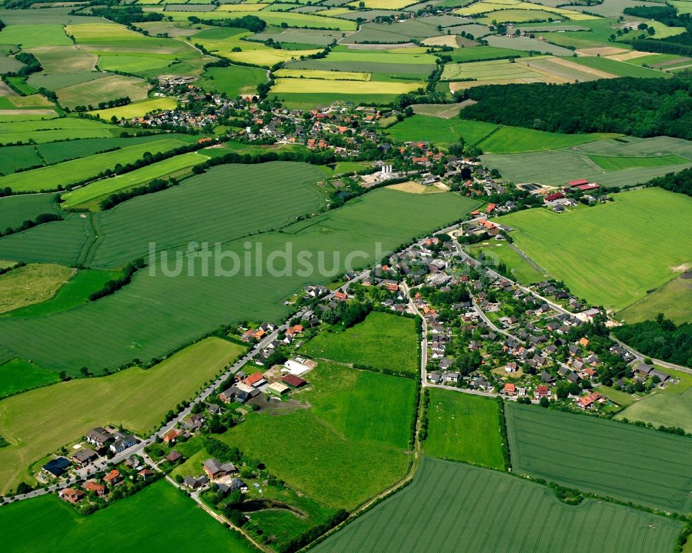 Luftbild Hohehorst - Dorfkern am Feldrand in Hohehorst im Bundesland Schleswig-Holstein, Deutschland