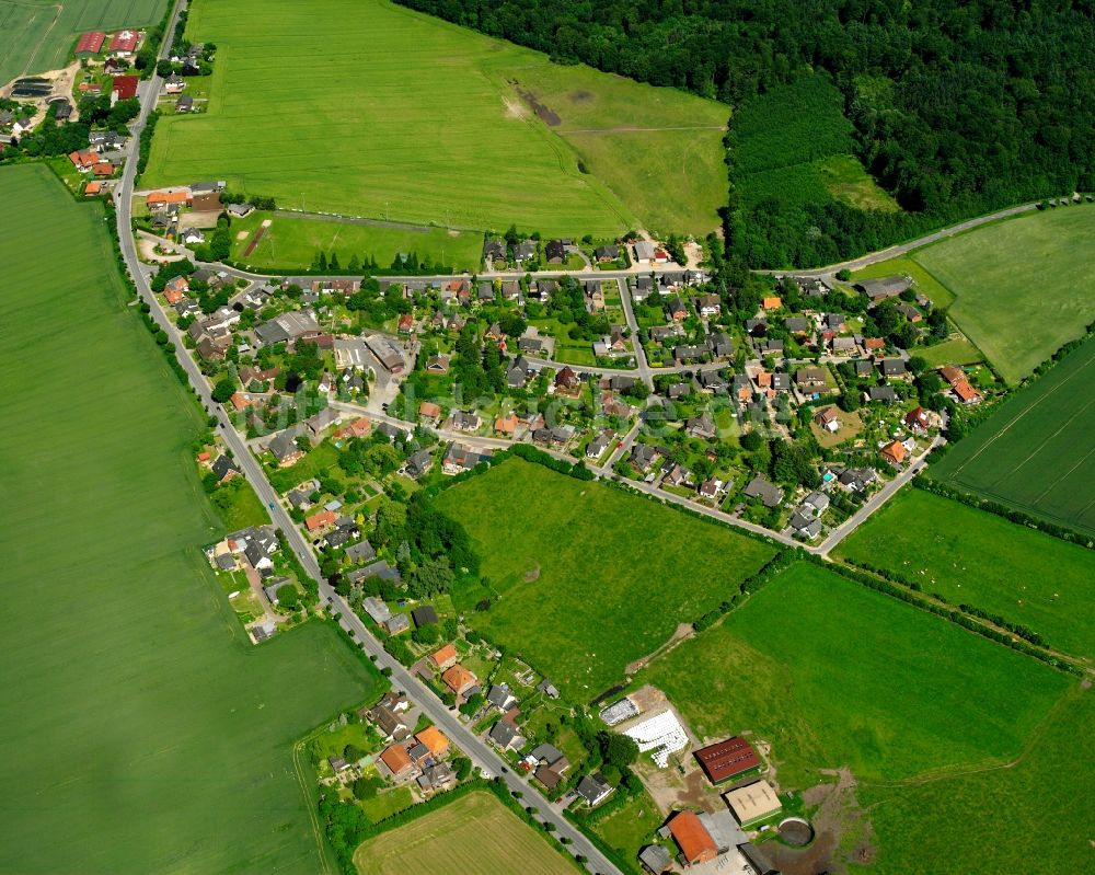 Hohehorst von oben - Dorfkern am Feldrand in Hohehorst im Bundesland Schleswig-Holstein, Deutschland