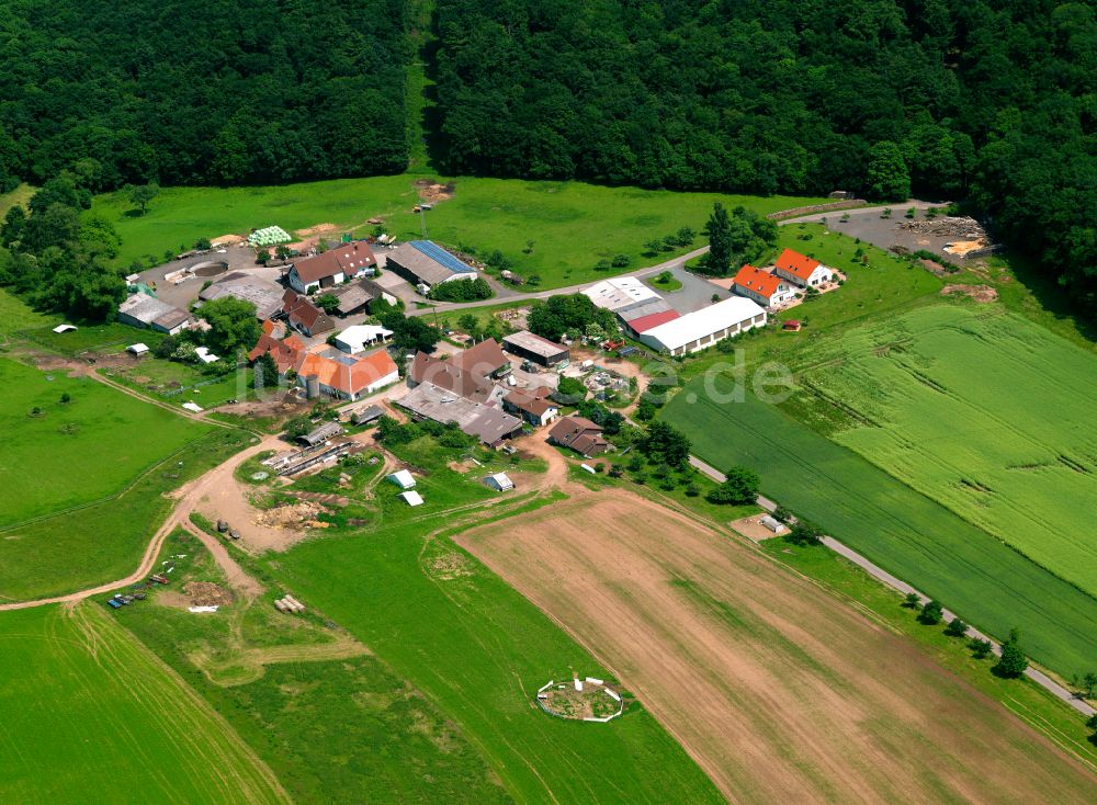 Kahlheckerhof aus der Vogelperspektive: Dorfkern am Feldrand in Kahlheckerhof im Bundesland Rheinland-Pfalz, Deutschland