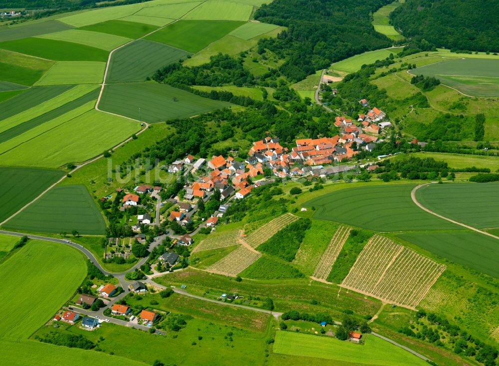 Luftbild Kalkofen - Dorfkern am Feldrand in Kalkofen im Bundesland Rheinland-Pfalz, Deutschland