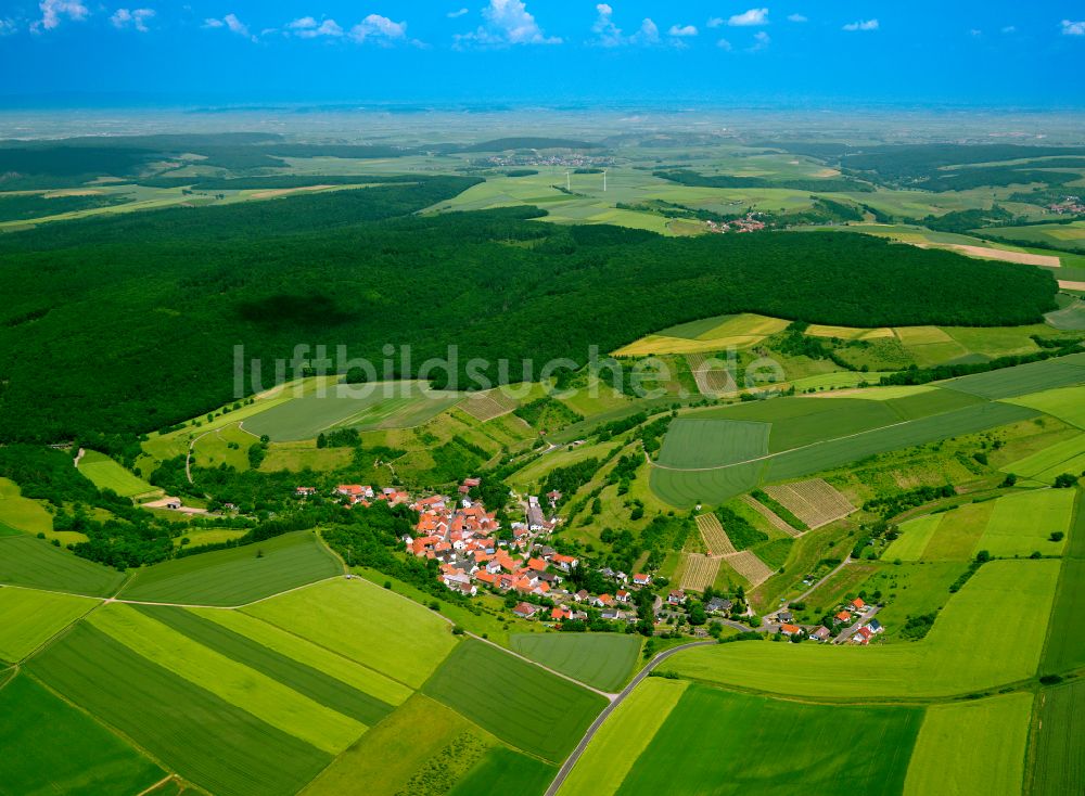 Luftaufnahme Kalkofen - Dorfkern am Feldrand in Kalkofen im Bundesland Rheinland-Pfalz, Deutschland