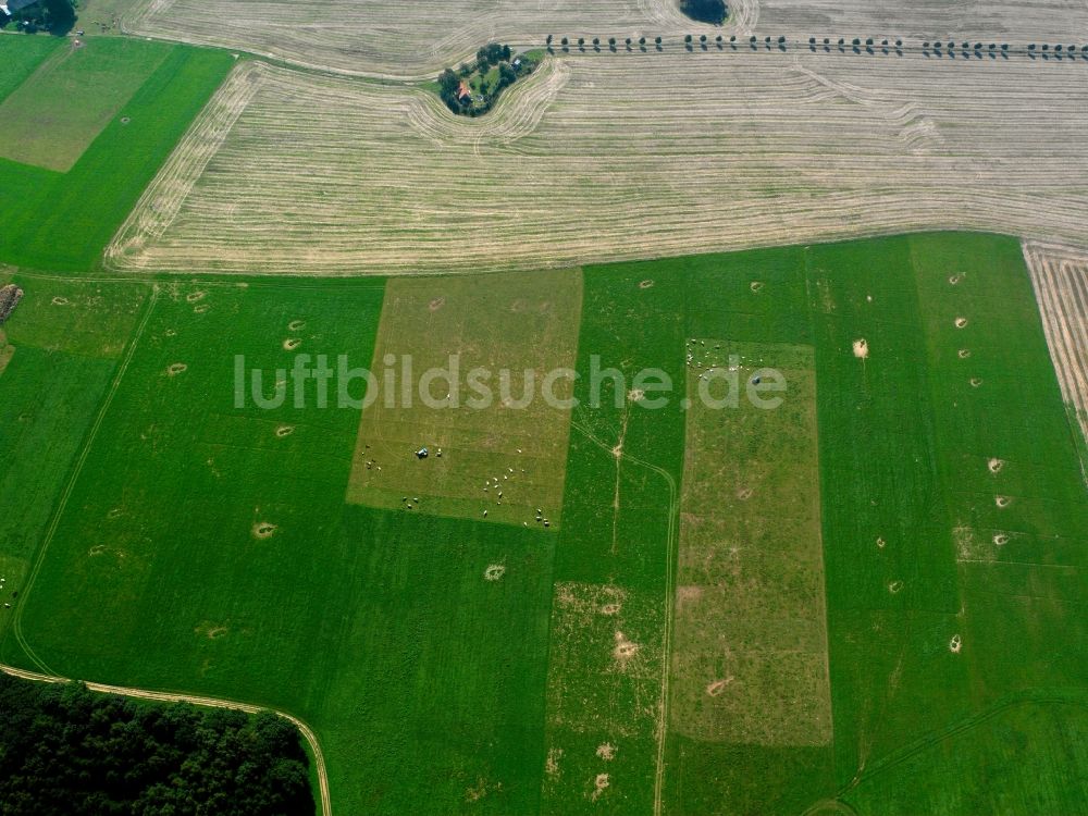 Luftbild Kirchbach - Dorfkern am Feldrand in Kirchbach im Bundesland Sachsen, Deutschland