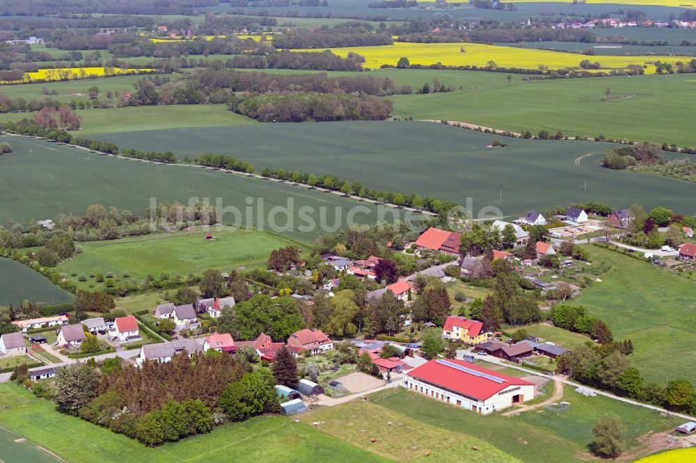 Klein Pravtshagen von oben - Dorfkern am Feldrand in Klein Pravtshagen im Bundesland Mecklenburg-Vorpommern, Deutschland