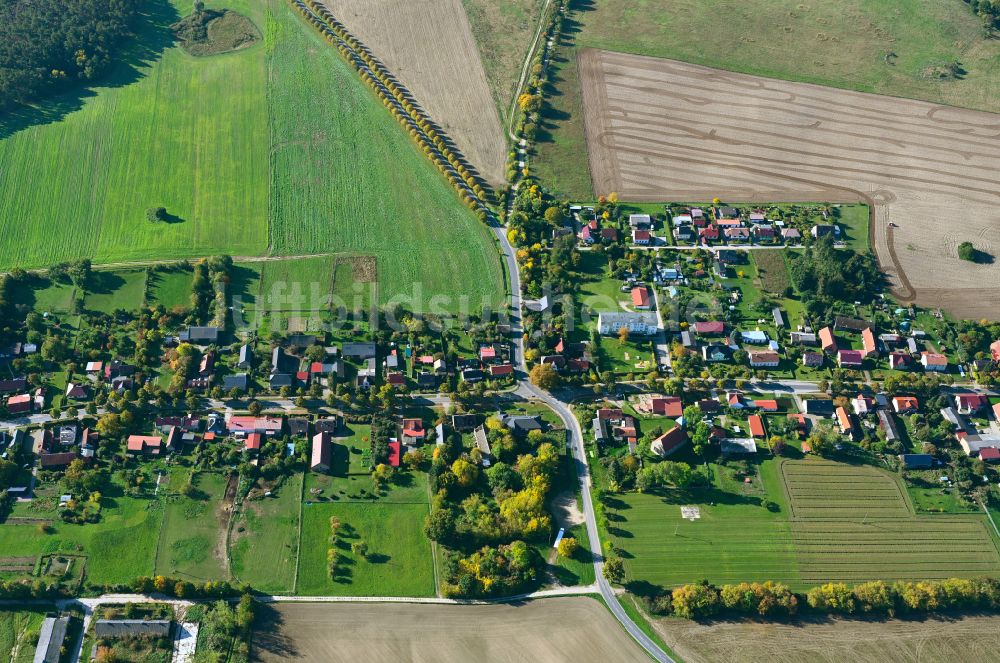 Luftbild Klosterwalde - Dorfkern am Feldrand in Klosterwalde im Bundesland Brandenburg, Deutschland