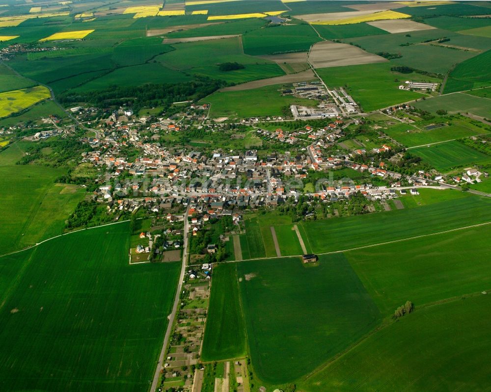 Luftbild Leitzkau - Dorfkern am Feldrand in Leitzkau im Bundesland Sachsen-Anhalt, Deutschland