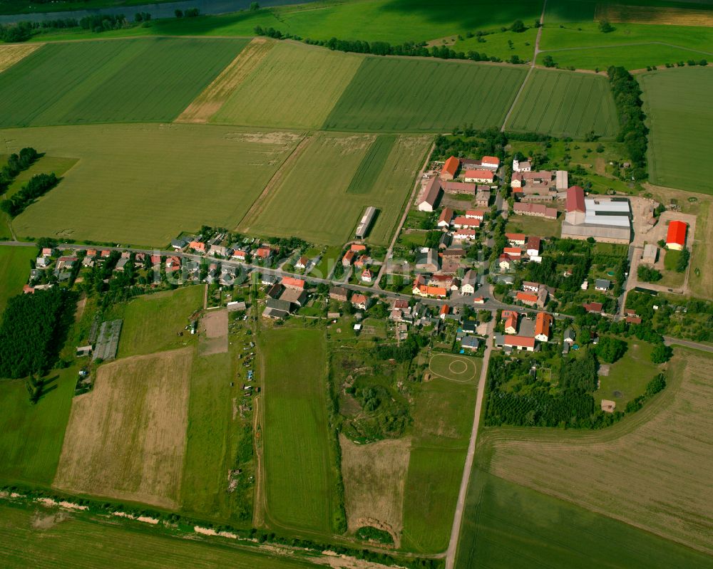 Luftaufnahme Leutewitz - Dorfkern am Feldrand in Leutewitz im Bundesland Sachsen, Deutschland