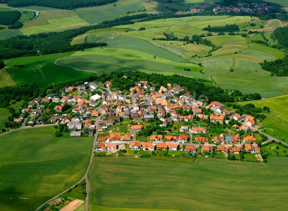 Luftbild Marienthal - Dorfkern am Feldrand in Marienthal im Bundesland Rheinland-Pfalz, Deutschland