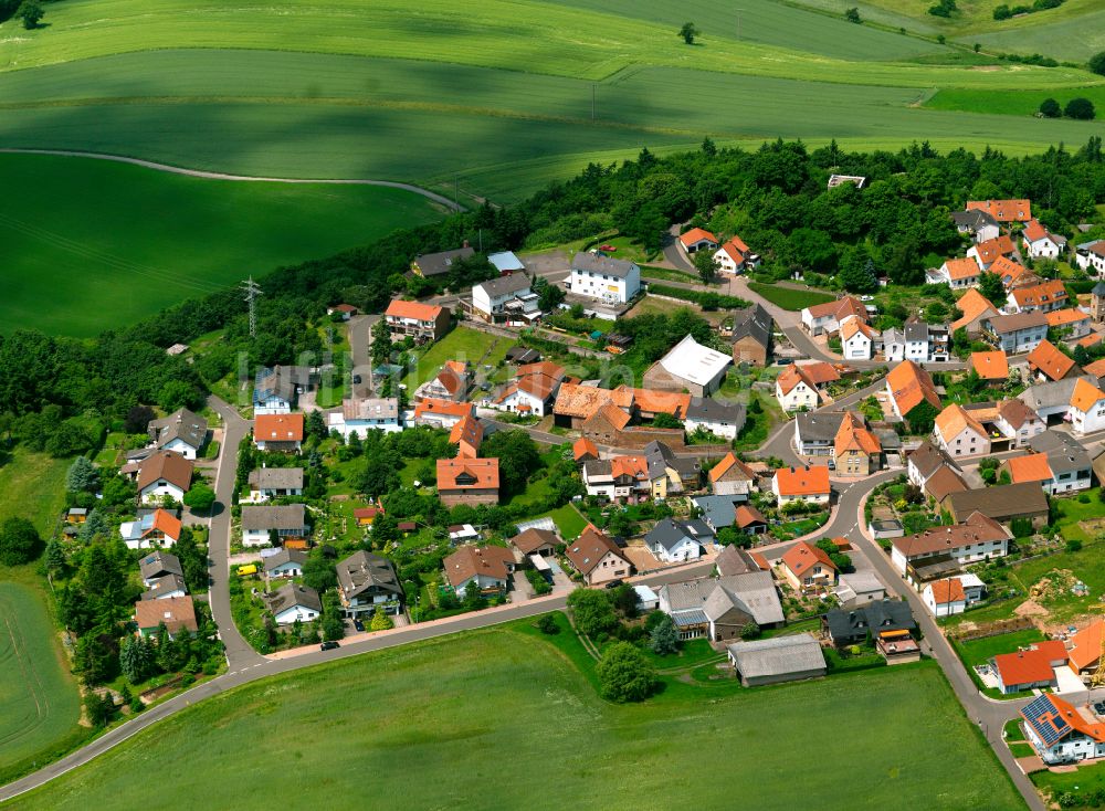 Marienthal von oben - Dorfkern am Feldrand in Marienthal im Bundesland Rheinland-Pfalz, Deutschland