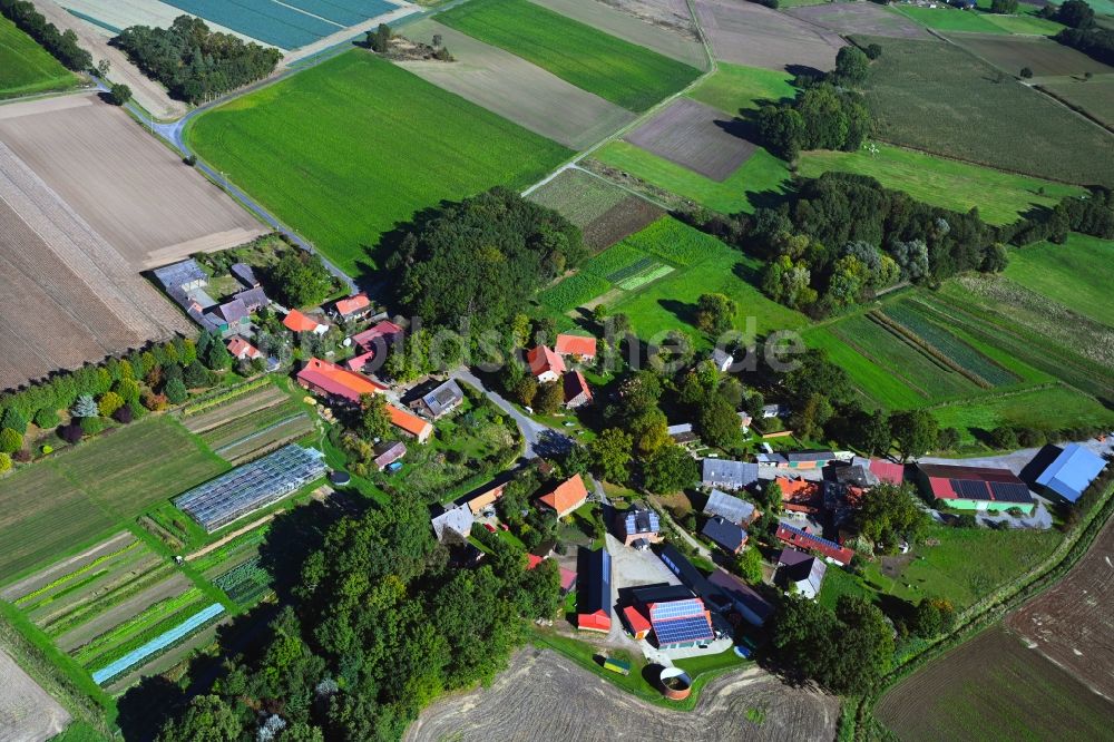 Luftaufnahme Marlin - Dorfkern am Feldrand in Marlin im Bundesland Niedersachsen, Deutschland