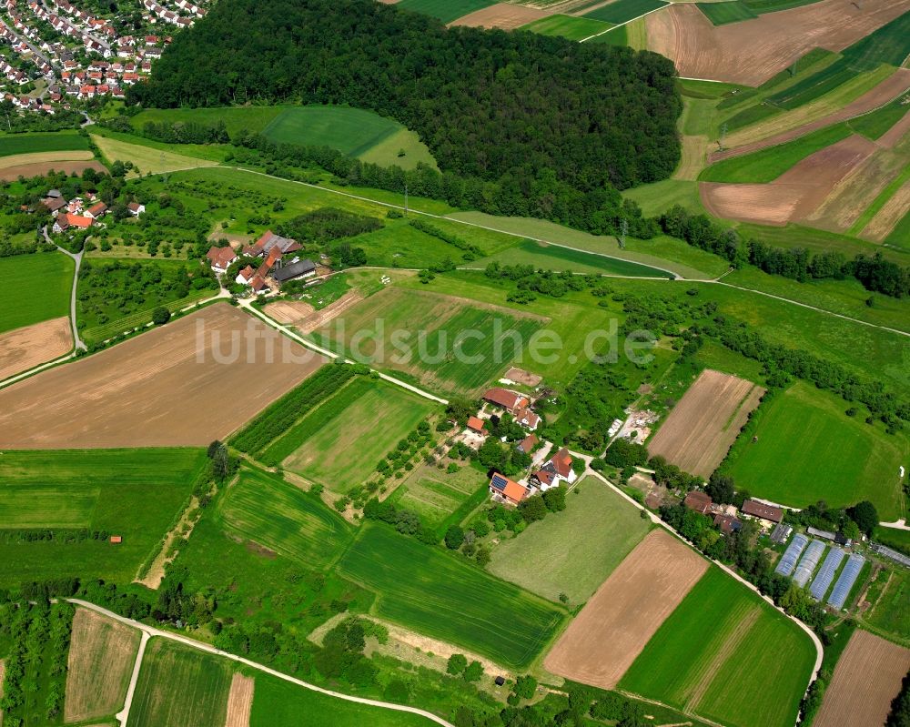 Mitteldresselhof von oben - Dorfkern am Feldrand in Mitteldresselhof im Bundesland Baden-Württemberg, Deutschland