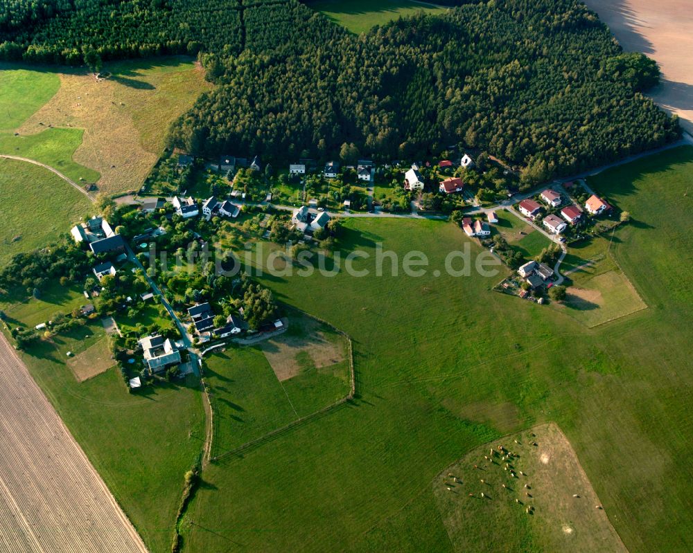 Moschwitz aus der Vogelperspektive: Dorfkern am Feldrand in Moschwitz im Bundesland Thüringen, Deutschland