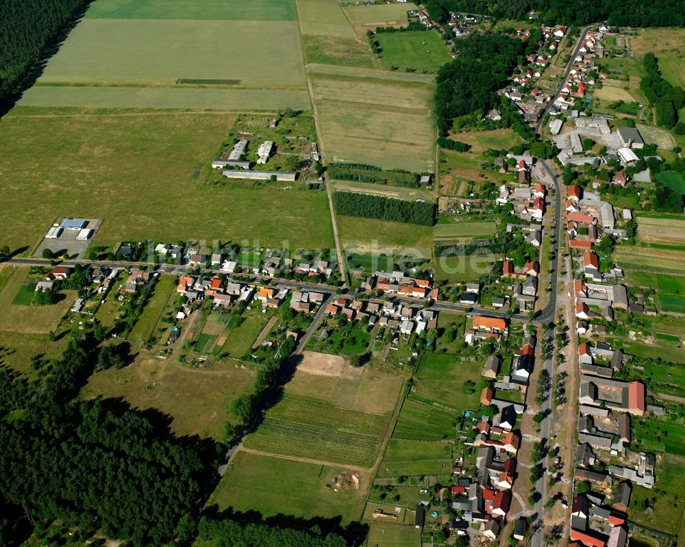 Luftbild Nedlitz - Dorfkern am Feldrand in Nedlitz im Bundesland Sachsen-Anhalt, Deutschland