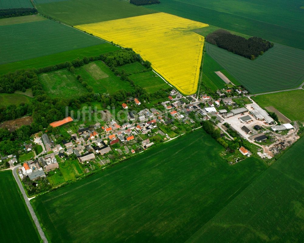 Neeken aus der Vogelperspektive: Dorfkern am Feldrand in Neeken im Bundesland Sachsen-Anhalt, Deutschland