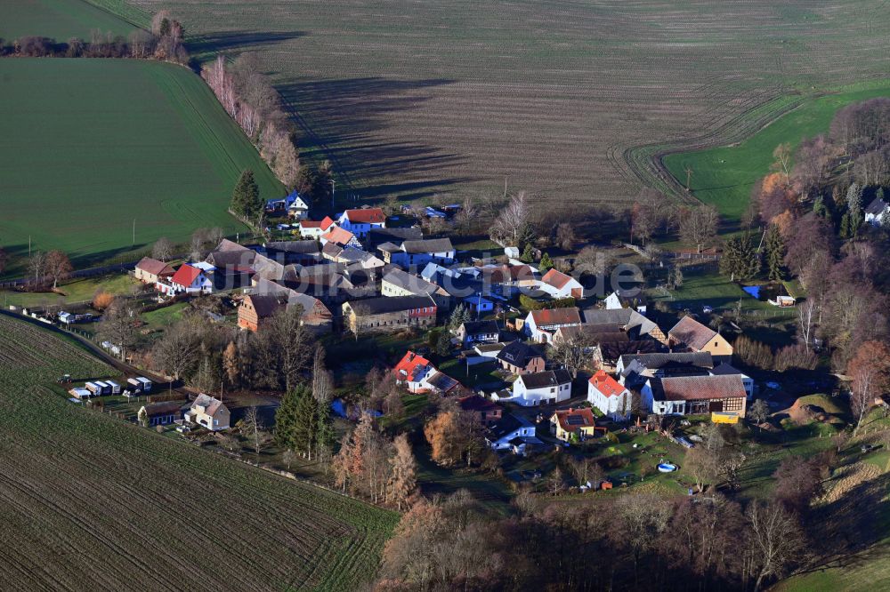 Luftaufnahme Negis - Dorfkern am Feldrand in Negis im Bundesland Thüringen, Deutschland