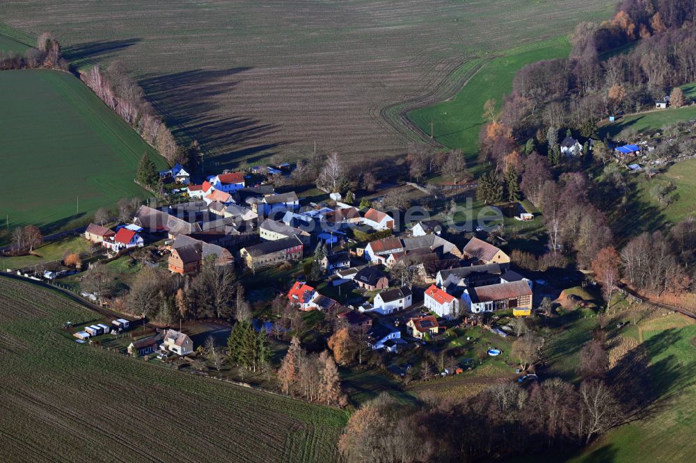 Negis aus der Vogelperspektive: Dorfkern am Feldrand in Negis im Bundesland Thüringen, Deutschland