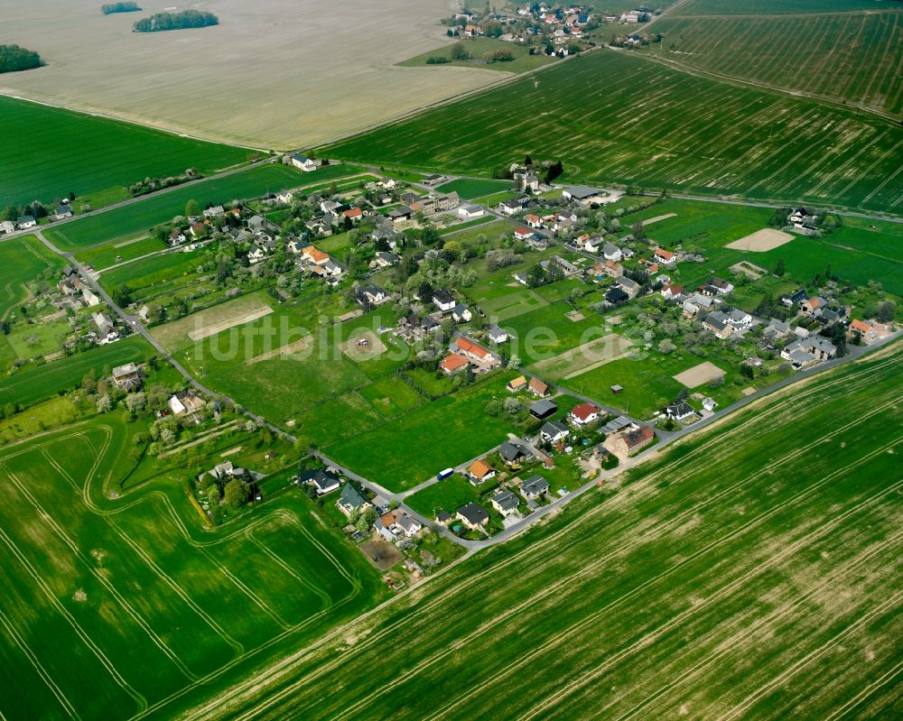 Luftbild Neuwallwitz - Dorfkern am Feldrand in Neuwallwitz im Bundesland Sachsen, Deutschland