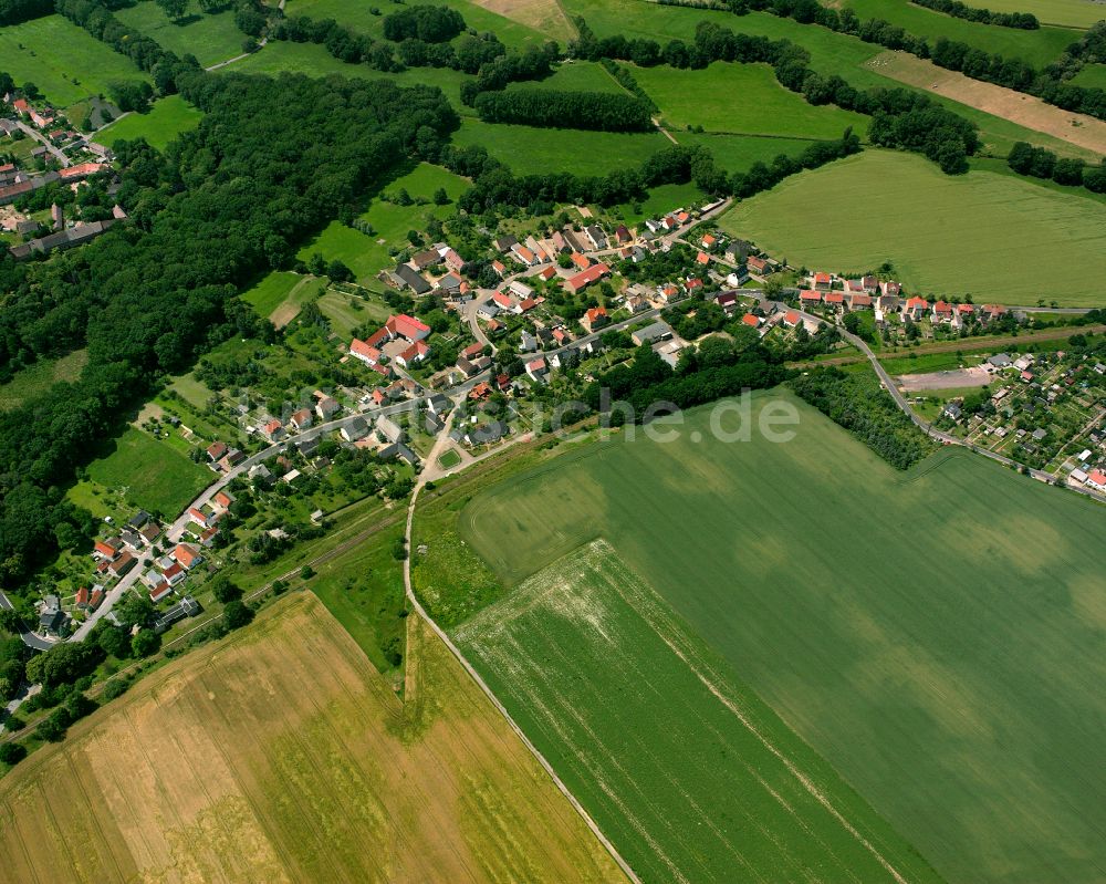 Nickritz aus der Vogelperspektive: Dorfkern am Feldrand in Nickritz im Bundesland Sachsen, Deutschland