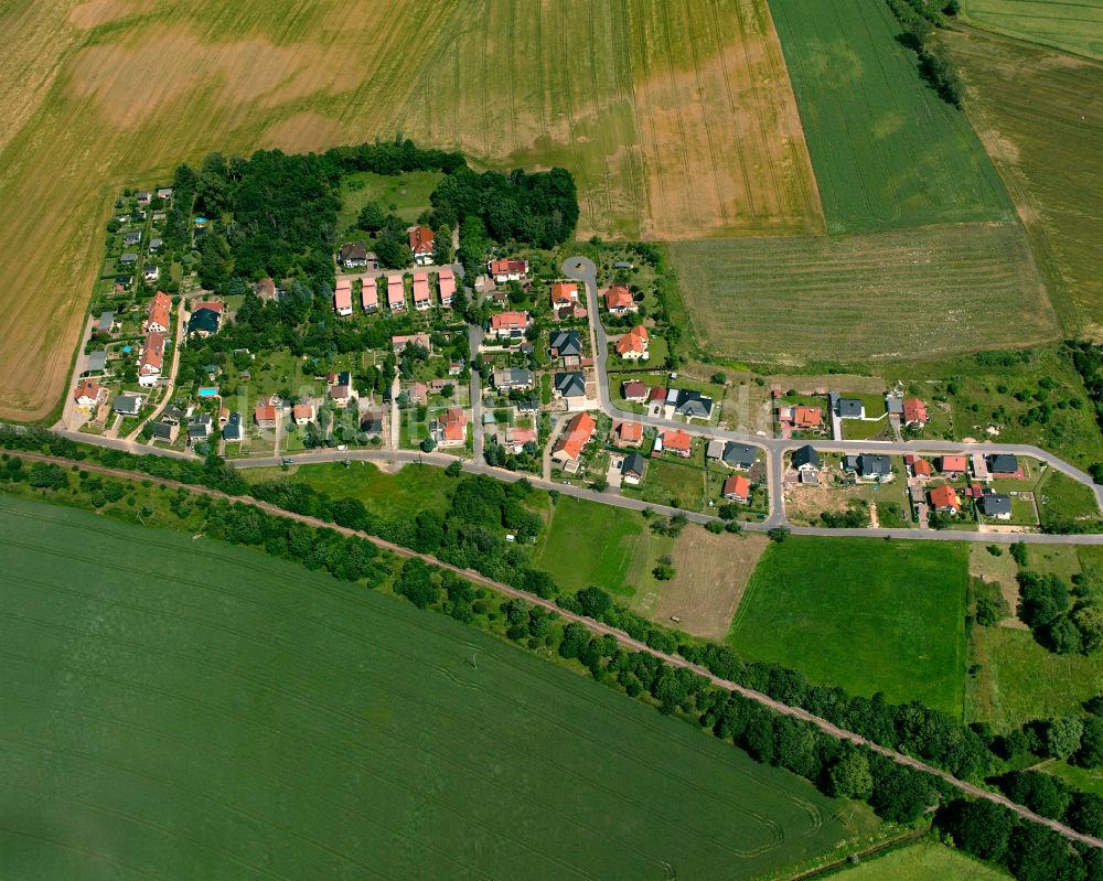 Luftbild Nickritz - Dorfkern am Feldrand in Nickritz im Bundesland Sachsen, Deutschland